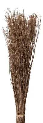 Obrázek produktu pro Clayre & Eef Sušené květiny 80 cm Béžové sušené květiny