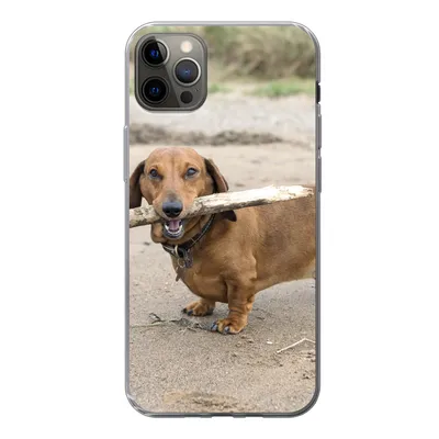 Produktbild von MuchoWow® Handyhülle Schutzhülle Hülle für iPhone 13 Pro Max Ein schöner Dackel mit einem Stock im Maul Silikon Softcase Handy Hülle - Mobiltelefon