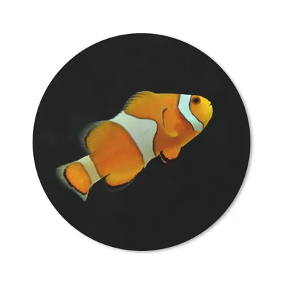 Produktbild von MuchoWow® Mauspad Mousepad Fisch - Linie - Schwarz 50x50 cm - Mousepads - Maus Mat - Pad - Mausunterlage - Vinyl