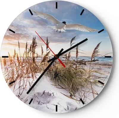 Produktbild von Wanduhr - Rund - Glasuhr - Möwe Meer Küste - 30x30cm - Schleichendes Uhrwerk - Lautlos - zum Aufhängen bereit - Dekoration Modern - Wanddekoration aus Glas - C3AR30x30-4902