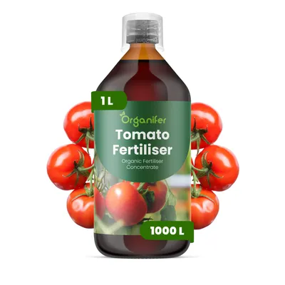 Zdjęcie produktu dla Nawóz Płynny dla Pomidory 1 L – 2-1-8 NPK – Do Pomidory – Do Bohatú Úrodu, Zdrowy Wzrost i Silne Korzenie – Organifer