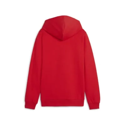 Productafbeelding van Puma Teamgoal hoodie voor kinderen - Rood