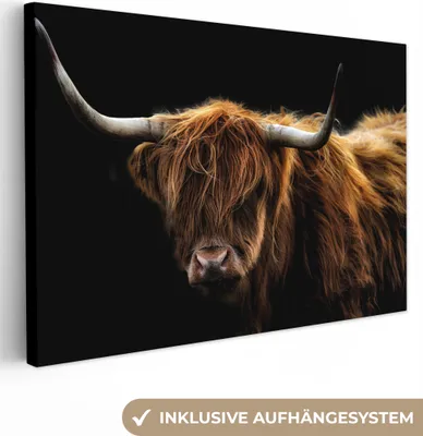 Obrázek produktu pro OneMillionCanvasses® - Plátno - Skotský horal - Rohy - Černá - Zvířata - Příroda - Divoká - Kráva, nástěnná malba, nástěnné dekorace obrázky do obývacího pokoje, 120x80cm