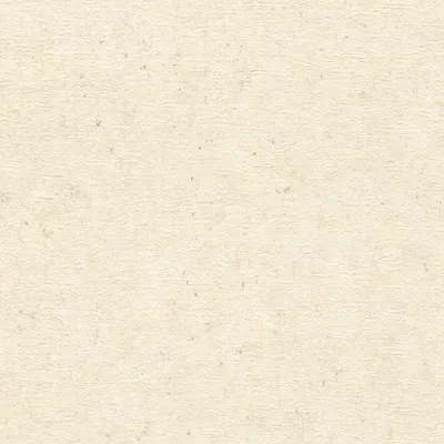 Produktbild von Rasch Vliestapete 520835 Concrete, Putzoptik beige, 10,05 x 0,53 m