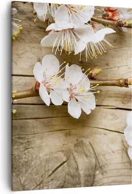 Produktbild von Bild auf Leinwand - Leinwandbild - Einteilig - Blume Stängel - 50x70cm - Wand Bild - Wanddeko - Wandbilder - Leinwanddruck - Kunstdruck - Wanddekoration - Leinwand bilder - Wandbild - PA50x70-3537