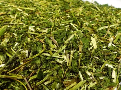 Produktbild von Passionsblumenkraut Naturideen® 100g