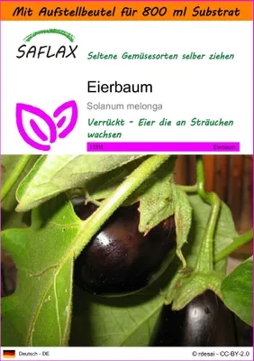 Produktbild von SAFLAX Garden in the bag - Eierbaum - Solanum melonga - 20 Samen - Mit Anzuchtsubstrat im praktischen, selbst aufstellenden Beutel