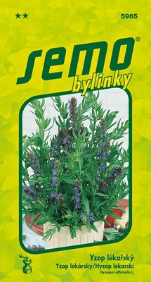 Obrázek produktu pro Yzop lékařský