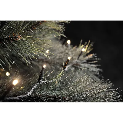 Obrázek produktu pro Konstsmide 3957-107, 100 lamp, LED, Teplá bílá, 2800 K, Vnitřní/venkovní, Černá