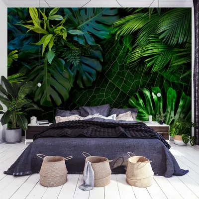 Produktbild von Basera Selbstklebende Fototapete Waldmotiv b-C-0224-a-a, mit UV-Schutz, 147x105 cm
