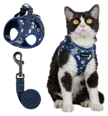 Immagine prodotto di Set di pettorina e guinzaglio per gatti, colore blu, taglia M