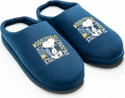 A pair of blue Peanuts Snoopy slippers on a white background.