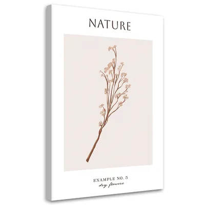 Produktbild von Leinwandbild Getrocknete Blume – Natur 40x60 Feeby Beige bild für die wand bereit zum aufhängen