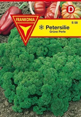 Produktbild von Petersilie Grüne Perle
