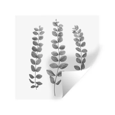 Produktbild von MuchoWow® Wandtattoo Wandsticker Wandaufkleber Pflanzen - Blätter - Natur - Weiß 30x30 cm Selbstklebend und Repositionierbar - Repositionierbar - Wasser abweisend