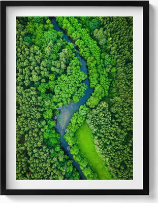 Produktbild von Fluss im Wald– Wandbild mit Rahmen – Gerahmtes Bild  – Wanddekoration – 60x80 cm –  Schwarz Rahmen