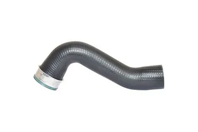 Image de BUGIAD Tuyau d'air de suralimentation