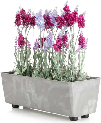Image de HowHomely | Jardinière - Salvia - 37,5x17 cm - Béton gris - Design minimaliste - Résistant aux intempéries et facile d'entretien
