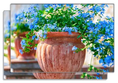Produktbild von Wallario Frühstücksbrettchen 2er Set aus Glas, je 20 x 30 cm, mit rutschfesten Füßen, Motiv Blaue Blumen in einer Steinvase