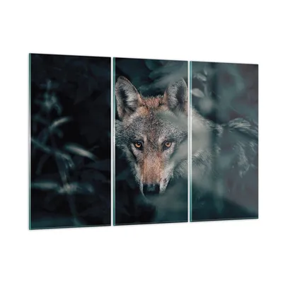 Produktbild von Bilder auf glas - 3 Teile - Wolf Wald Raubtier - 105x70cm - Glasbilder - Wandbilder - Bilder - zum Aufhängen bereit - Wanddekoration aus Glas - Glas Bilder - Wandbild auf Glas - GCE105x70-5053