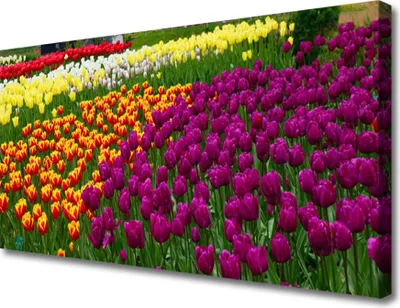 Produktbild von Tulup Leinwand-Bilder 100x50 Wandbild Canvas Kunstdruck Tulpen Pflanzen