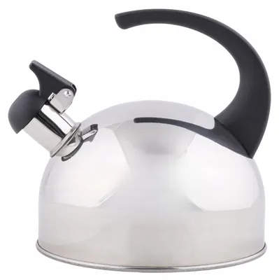 Produktbild von TOPFANN Herdplatte Edelstahl Wasserkocher schwarzer Griff 2l Gas Induktion
