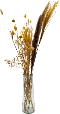 Immagine prodotto di 3.08 Fiori secchi in vaso di vetro - circa 70 cm - Fiori artificiali decorativi