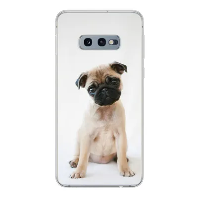 Produktbild von MuchoWow® Handyhülle Schutzhülle Hülle für Samsung Galaxy S10e Hund - Haustiere - Porträt Silikon Softcase Handy Hülle - Handy