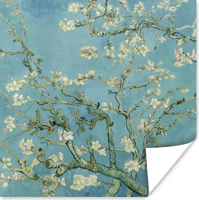 Produktbild von MuchoWow® Poster Van Gogh - Blüte - Alte Meister - Vincent van Gogh 50x50 cm - Wohnzimmerdekoration