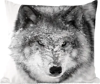 Produktbild von MuchoWow® Zierkissen Sofakissen Wohnzimmer Dekokissen 50x50 cm Wolf mit verschneitem Kopf in schwarz-weiß - Komfort - Sofakissen