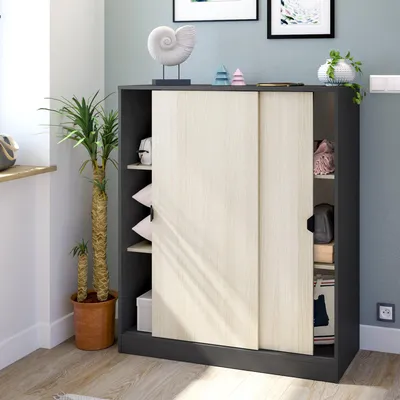 Immagine prodotto di Dmora Guardaroba 2 Ante Winthrop 40x119h cm Grigio Antracite, 2 Ante 6 Vani