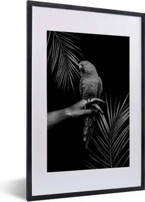Produktbild von MuchoWow® Gerahmtes Poster Vogel vor schwarzem Hintergrund - schwarz und weiß 40x60 cm - Poster mit Schwarzem Bilderrahmen Wandposter Rahmen Foto Bilder - Poster in Rahmen