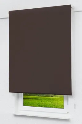 Produktbild von Lysel Outlet - Verdunkelungsrollo Dunkelbraun, (B x H) 82.50cm x 190cm in braun/dunkelbraun
