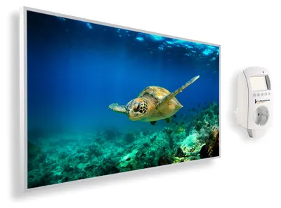 Produktbild von Infrarot-Heizung mit 1200 Watt, Schildmotiv und intelligenter Thermostatsteuerung – für die Wandmontage in Innenräumen