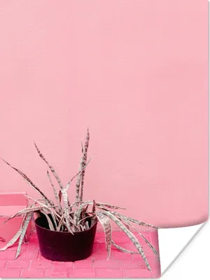 Produktbild von MuchoWow® Poster Sommer - Rosa - Pflanzen 120x160 cm - Wandbilder