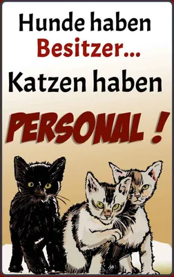 Produktbild von vianmo Holzschild 30x20 cm Hunde haben Besitzer Katzen Tier Haustier