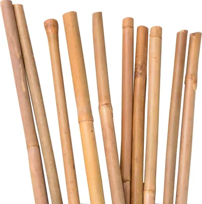 Produktbild von UNUS Bambusstäbe Rankstäbe Rankhilfe 150 cm lang Ø10-17mm 100er Set