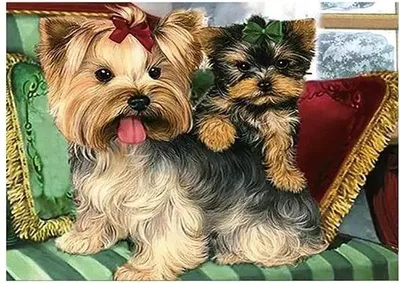Zdjęcie produktu dla Mozaika diamentowa 5D - Yorki 40x30cm