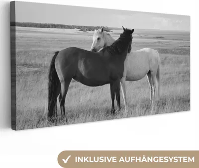 Produktbild von MuchoWow® - Leinwandbilder - Pferde - Tiere - Porträt - Schwarz-Weiß - Landleben, Wandbild, Wanddeko Bilder Wohnzimmer, 80x40cm
