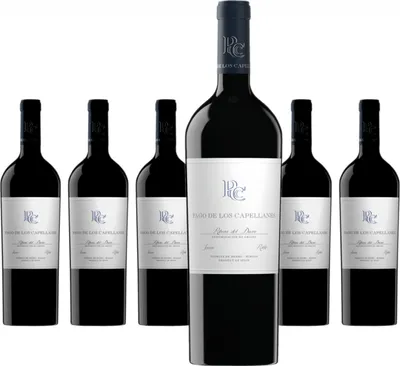 Produktbild von 6 x Pago de los Capellanes Joven Roble