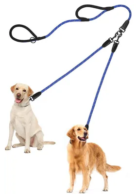 Immagine prodotto di Guinzaglio doppio per 2 cani, antiallentamento, riflettente, blu