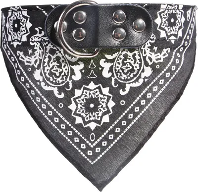 Productafbeelding van Hondenhalsband met sjaal, zwart, maat M