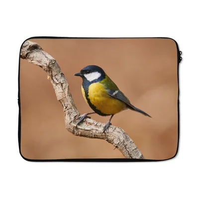 Produktbild von MuchoWow® Laptop Hülle 17 Zoll Laptoptasche Vogel - Kohlmeise - Zweige - Zipper - Schutzabdeckung