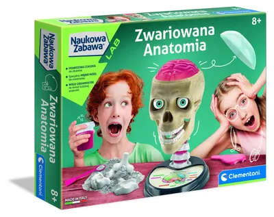 Obrázok produktu pre Zestaw Zwariowana Anatomia kreatywny dla dzieci