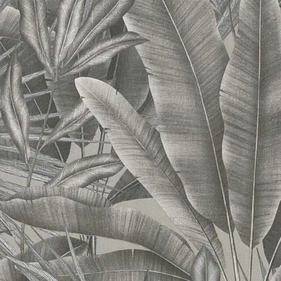 Produktbild von Tapete Camilla Botanical Dschungel M1-No.11128 Vlies Grau Beige Tadessi 10.05 m x 0.53 m