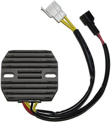 Image de Contrôleur de charge ElectroSport ESR 105
