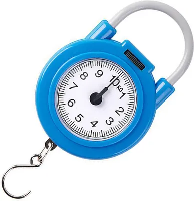 Image de Balance de cuisine portable à ressort de haute précision, capacité de charge de 10 kg, petite balance alimentaire pour usage domestique, couleur bleue