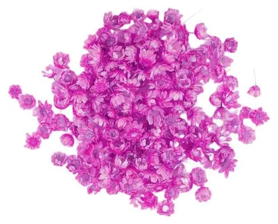 280 getrocknete Blumen, Naturblumen, DIY-Dekoration, Rose