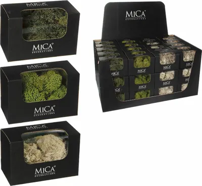 Produktbild von MICA Decorations Rentiermoss Blumendekorationen