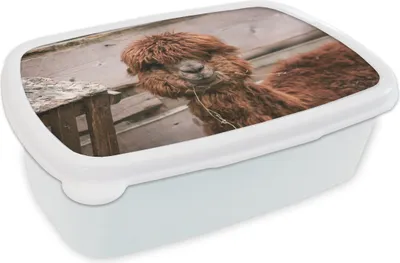 Produktbild von KitchenYeah® Lunchbox Brotzeit Brotdose 17x11 cm Alpaka - Tiere - Fell Kinder Brotzeitdose - Lunch Box - Kinder - Sandwich-Box - Schulbox - Lunch Boxen